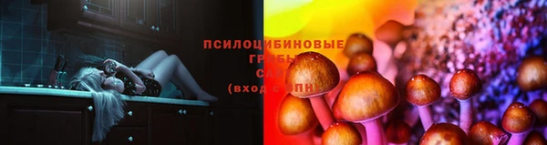 гашик Алексеевка