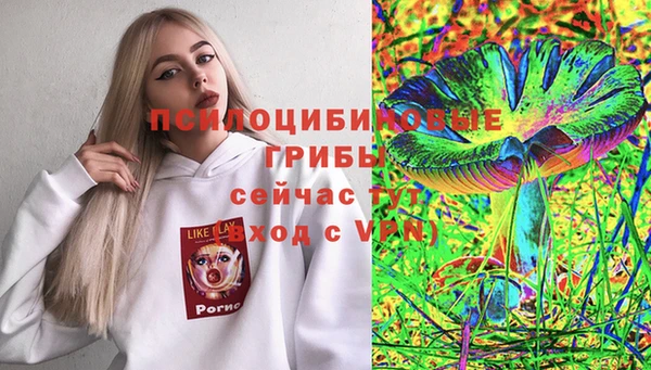 гашик Алексеевка