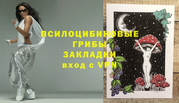 винт Алексин