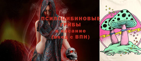 гашик Алексеевка