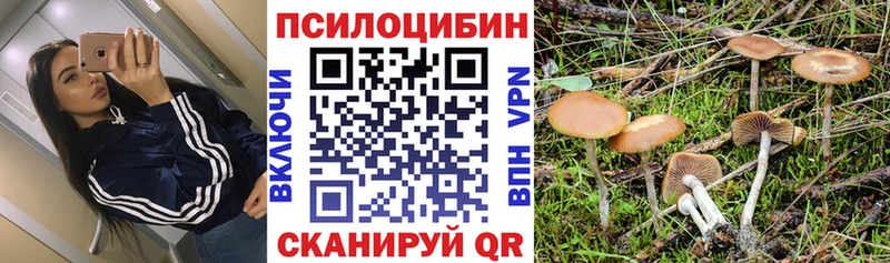 Псилоцибиновые грибы GOLDEN TEACHER  Георгиевск 