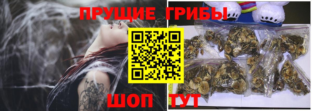 Галлюциногенные грибы Psilocybine cubensis  Вход с VPN  Георгиевск 